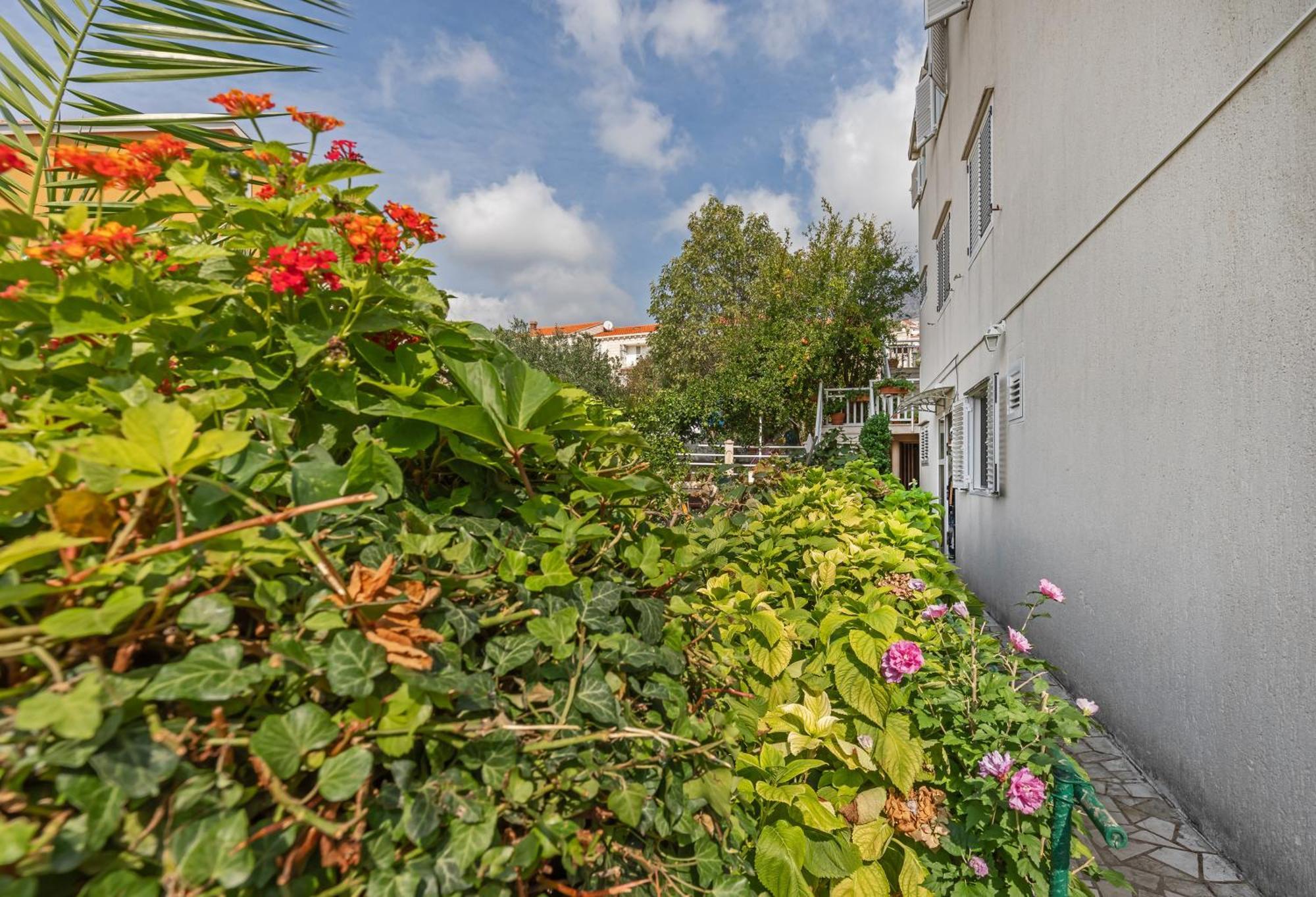 Apartment Ive Mlini Εξωτερικό φωτογραφία